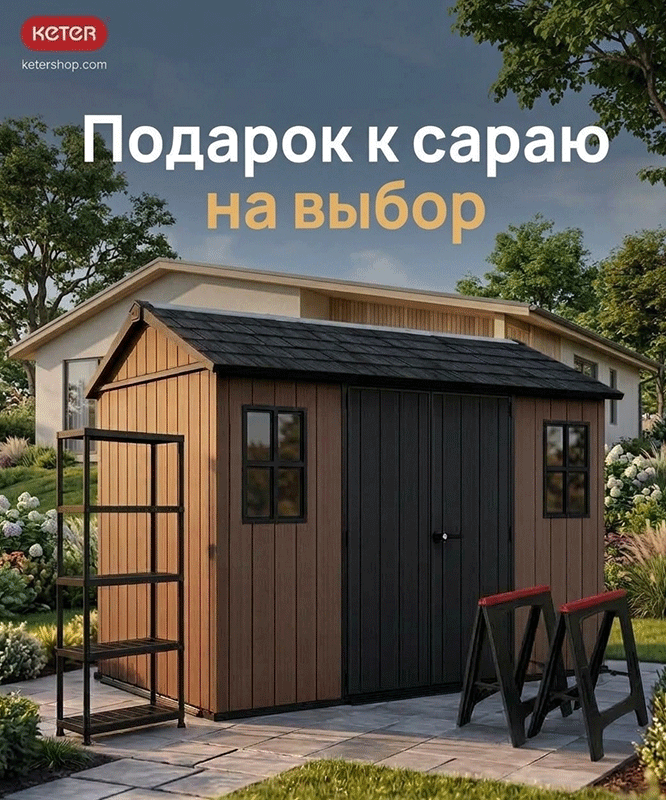 К сараю — подарок на выбор