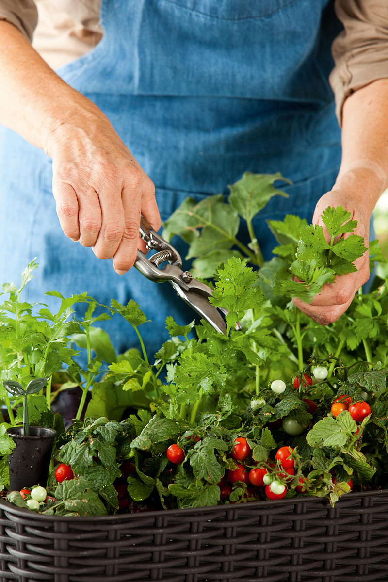 Готовая грядка на ножках Изи гроу (EASY GROW) коричневая
