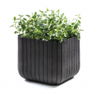 Кашпо Куб L (Keter сube planter L) антрацит