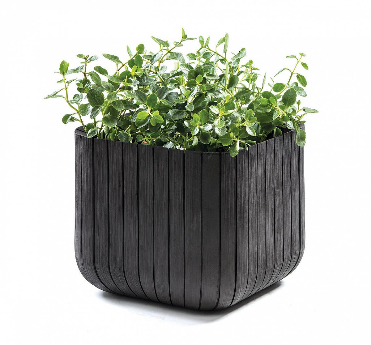 Кашпо Куб S (Keter cube planter S) графит