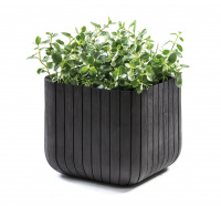 Кашпо Куб S (Keter cube planter S) графит