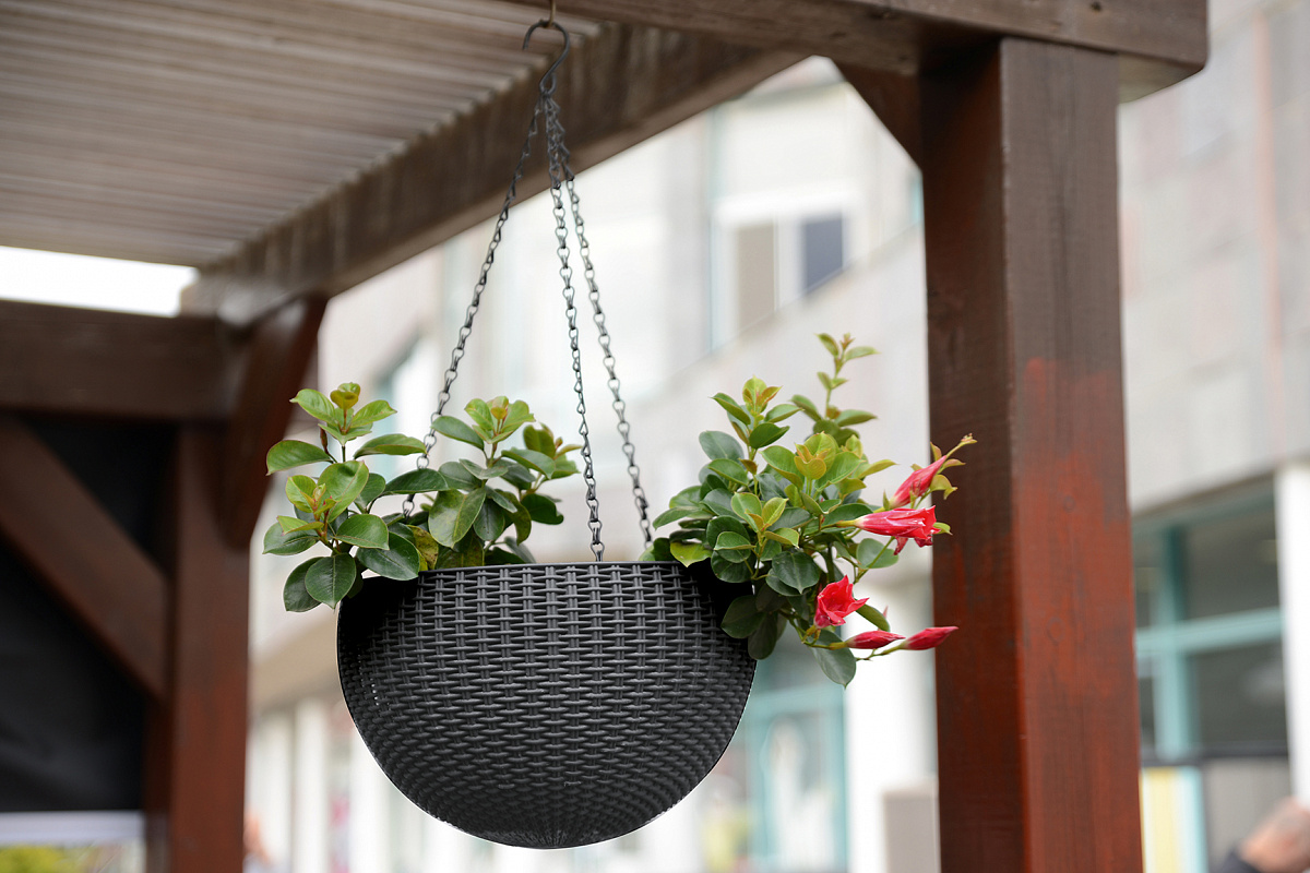Подвесное кашпо под ротанг (Keter Rattan Hanging) графит